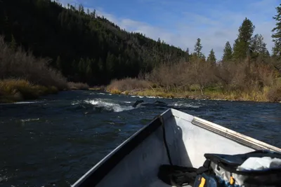 DSC_0231 (Large).JPG